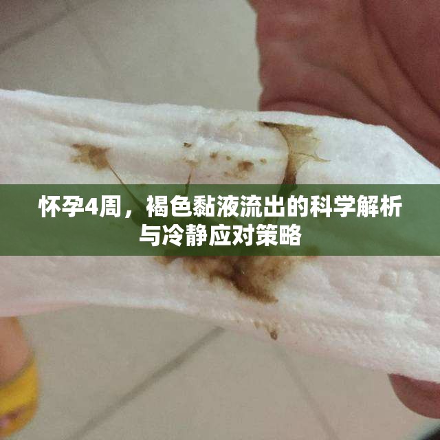 懷孕4周，褐色黏液流出的科學解析與冷靜應對策略