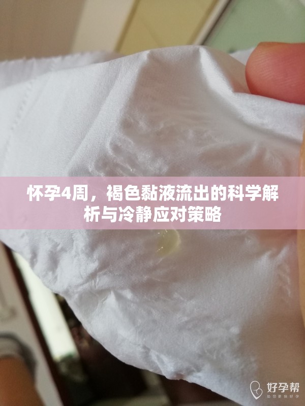 懷孕4周，褐色黏液流出的科學解析與冷靜應對策略