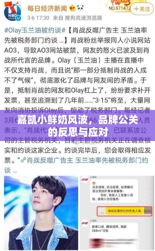 嘉凱小鮮奶風(fēng)波，品牌公關(guān)的反思與應(yīng)對