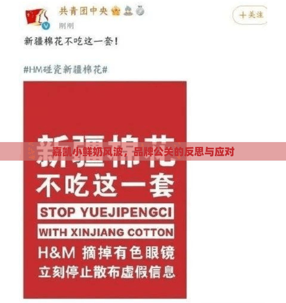 嘉凱小鮮奶風(fēng)波，品牌公關(guān)的反思與應(yīng)對