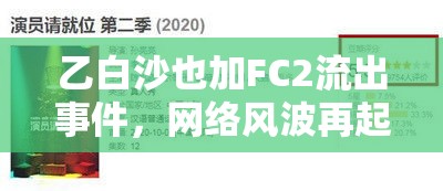 乙白沙也加FC2流出事件，網(wǎng)絡風波再起引發(fā)的社會思考