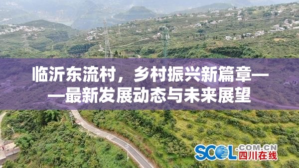 臨沂東流村，鄉(xiāng)村振興新篇章——最新發(fā)展動態(tài)與未來展望