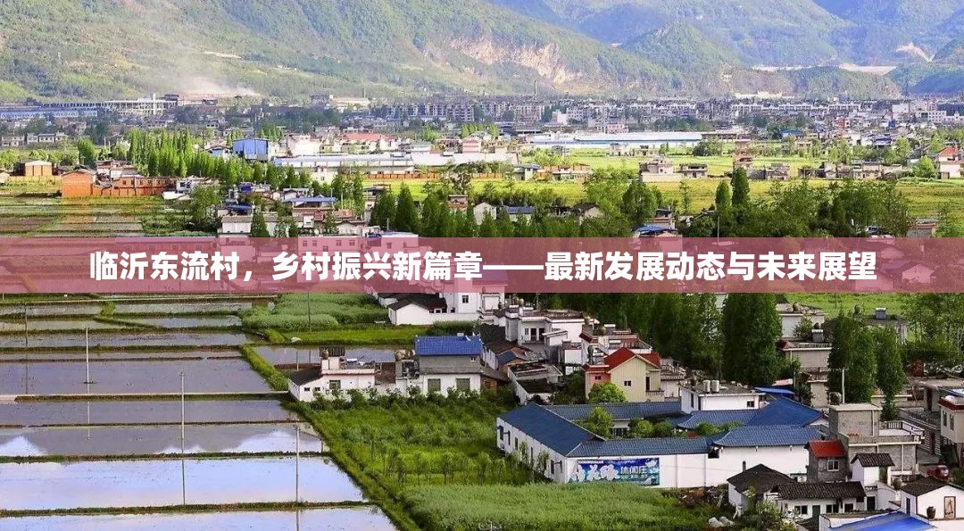 臨沂東流村，鄉(xiāng)村振興新篇章——最新發(fā)展動態(tài)與未來展望
