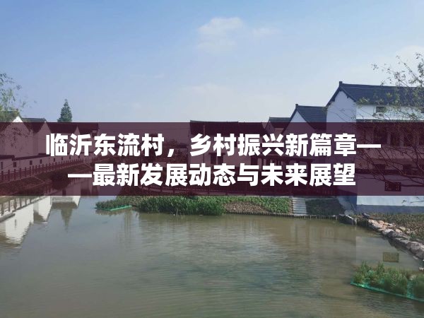 臨沂東流村，鄉(xiāng)村振興新篇章——最新發(fā)展動態(tài)與未來展望