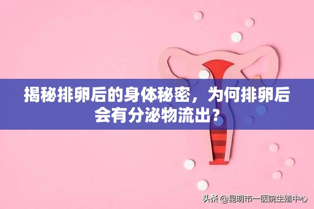 揭秘排卵后的身體秘密，為何排卵后會有分泌物流出？