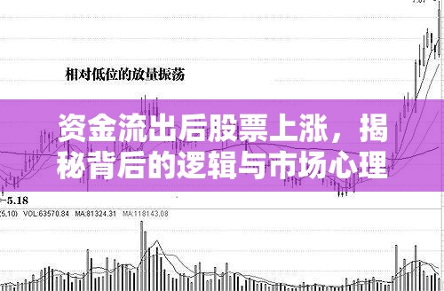 資金流出后股票上漲，揭秘背后的邏輯與市場心理