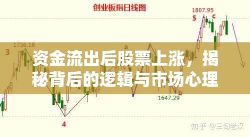 資金流出后股票上漲，揭秘背后的邏輯與市場心理