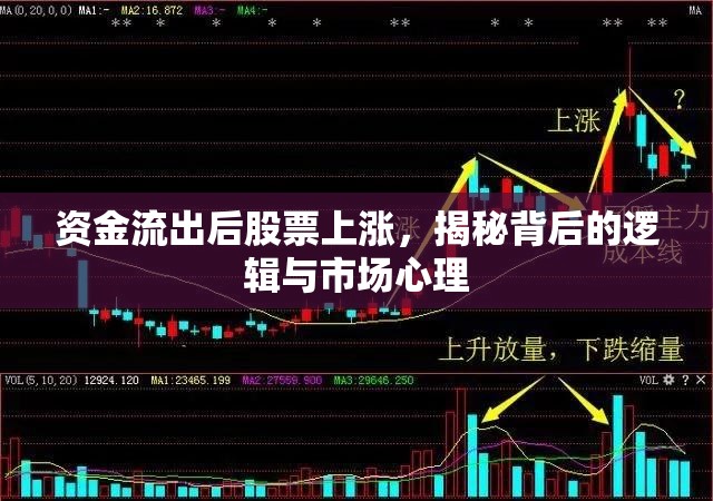 資金流出后股票上漲，揭秘背后的邏輯與市場心理