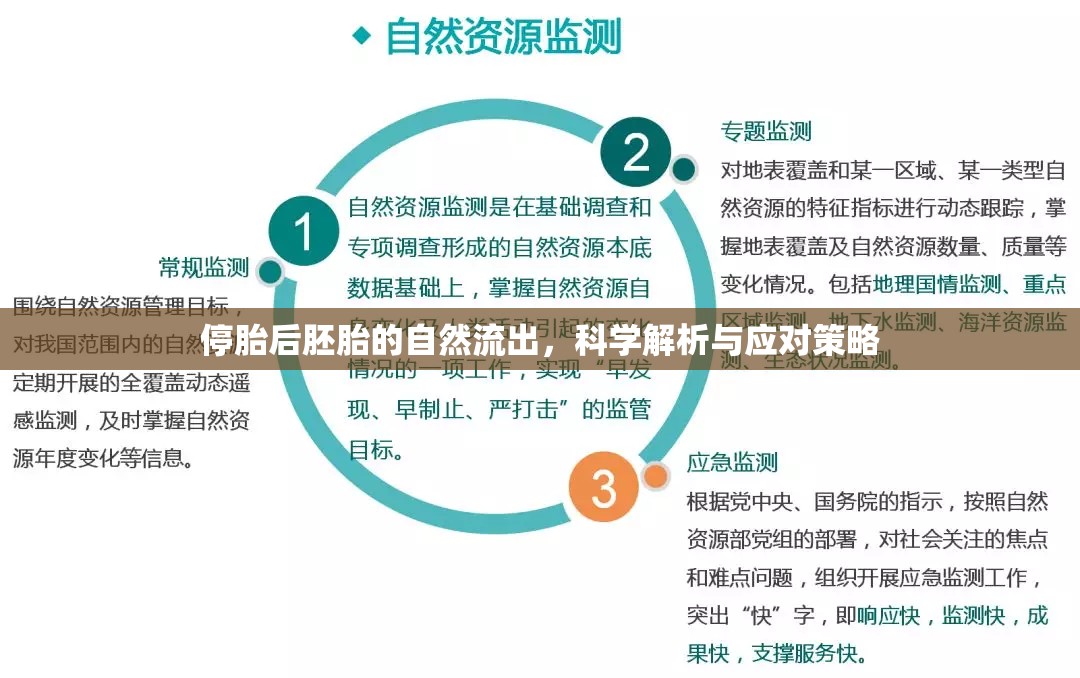 停胎后胚胎的自然流出，科學解析與應對策略