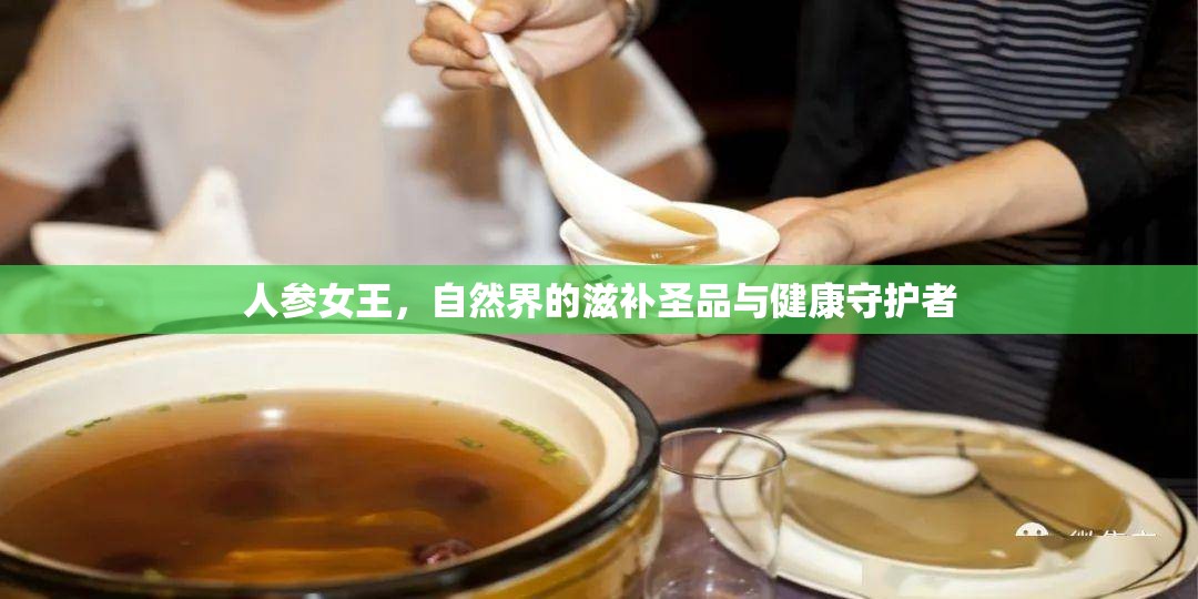 人參女王，自然界的滋補(bǔ)圣品與健康守護(hù)者