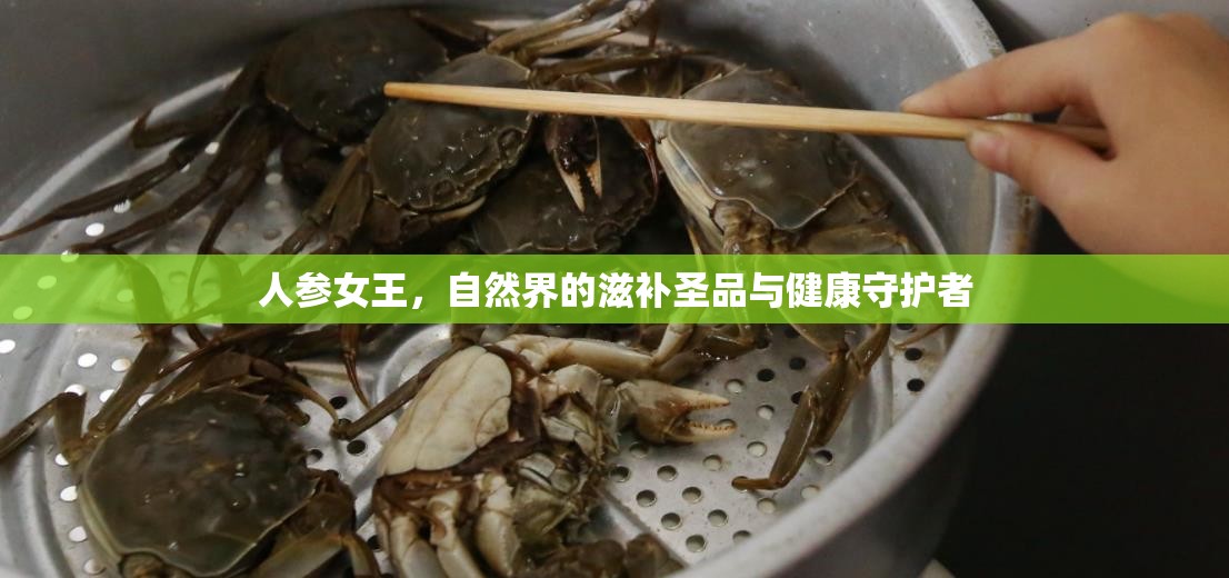 人參女王，自然界的滋補(bǔ)圣品與健康守護(hù)者