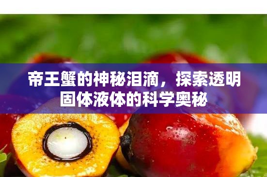帝王蟹的神秘淚滴，探索透明固體液體的科學(xué)奧秘