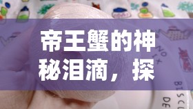 帝王蟹的神秘淚滴，探索透明固體液體的科學(xué)奧秘
