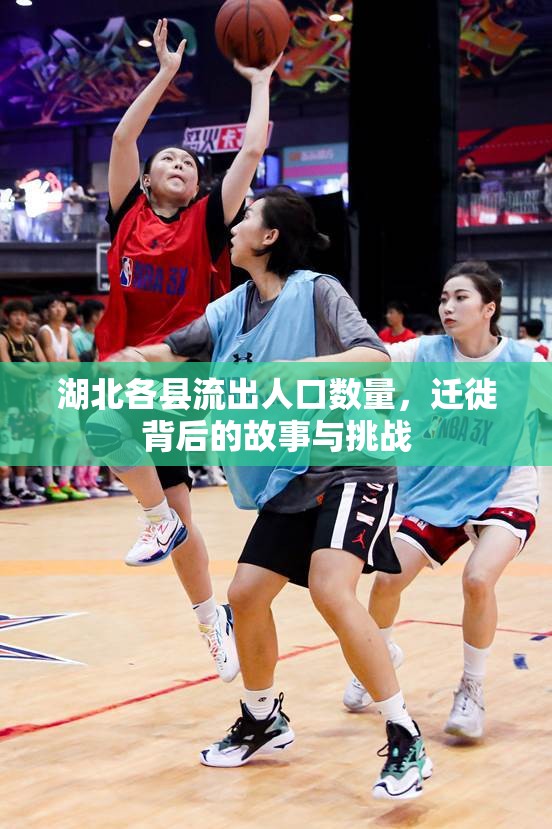 湖北各縣流出人口數(shù)量，遷徙背后的故事與挑戰(zhàn)