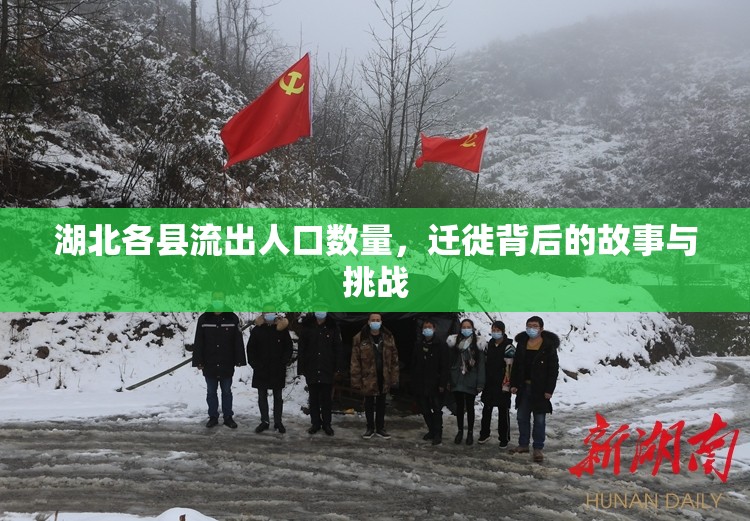 湖北各縣流出人口數(shù)量，遷徙背后的故事與挑戰(zhàn)