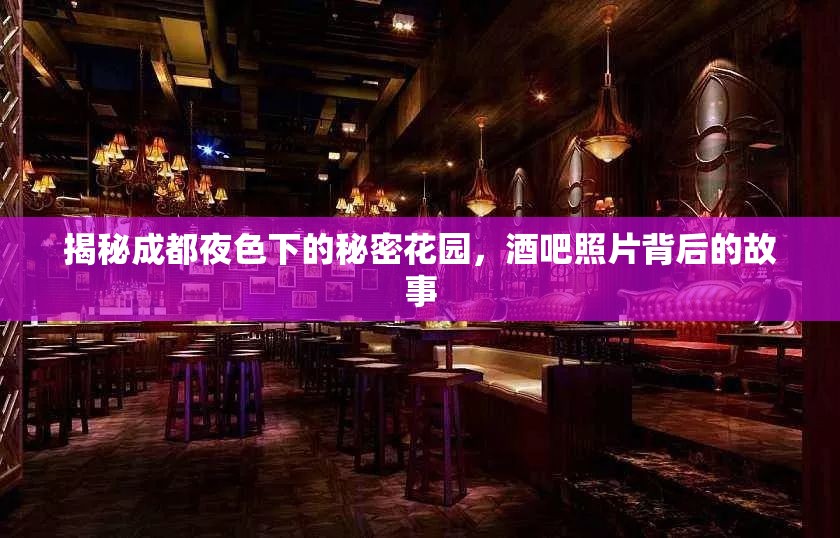 揭秘成都夜色下的秘密花園，酒吧照片背后的故事