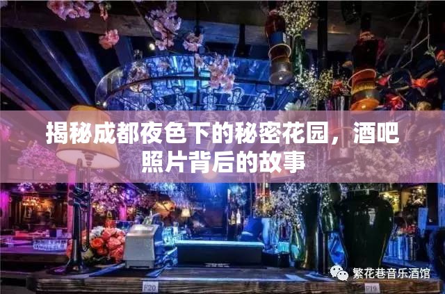 揭秘成都夜色下的秘密花園，酒吧照片背后的故事