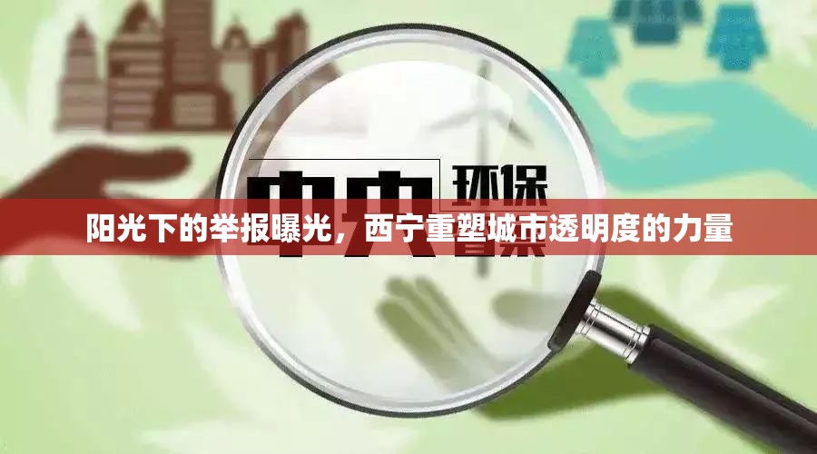 陽光下的舉報曝光，西寧重塑城市透明度的力量