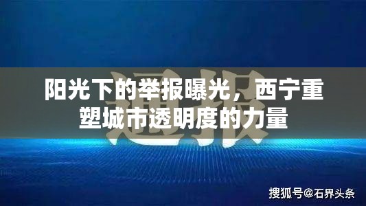 陽光下的舉報曝光，西寧重塑城市透明度的力量