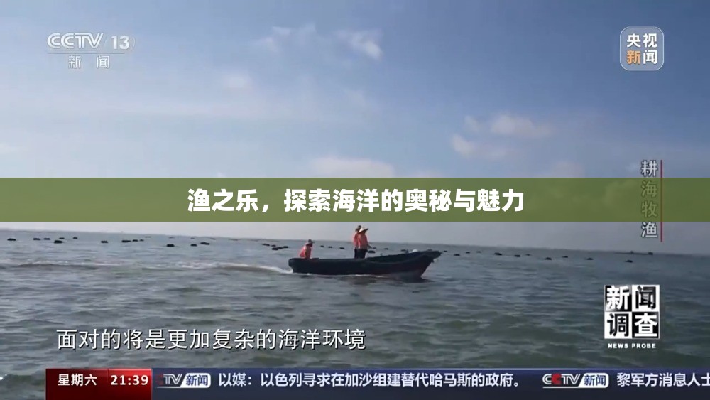 漁之樂，探索海洋的奧秘與魅力