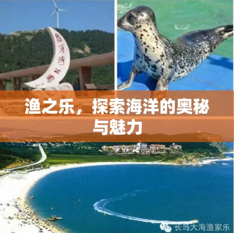 漁之樂，探索海洋的奧秘與魅力