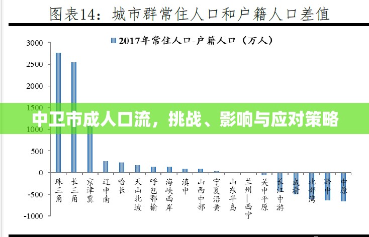 中衛(wèi)市成人口流，挑戰(zhàn)、影響與應(yīng)對(duì)策略