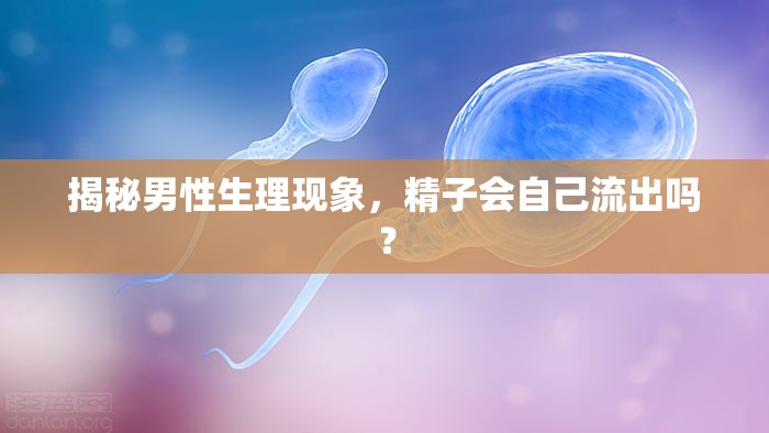 揭秘男性生理現(xiàn)象，精子會(huì)自己流出嗎？