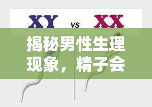 揭秘男性生理現(xiàn)象，精子會(huì)自己流出嗎？