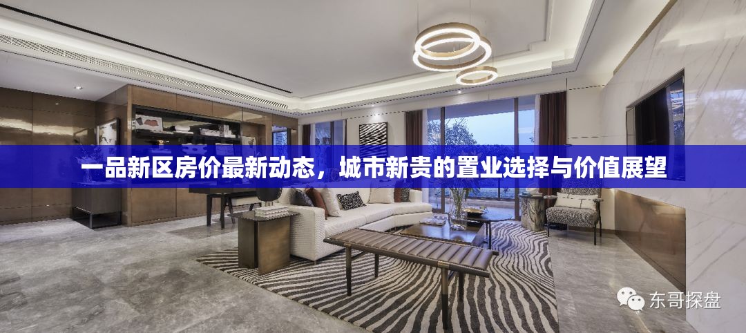 一品新區(qū)房?jī)r(jià)最新動(dòng)態(tài)，城市新貴的置業(yè)選擇與價(jià)值展望