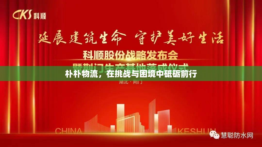 樸樸物流，在挑戰(zhàn)與困境中砥礪前行