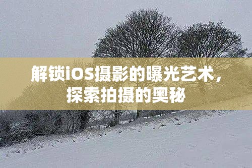 解鎖iOS攝影的曝光藝術(shù)，探索拍攝的奧秘