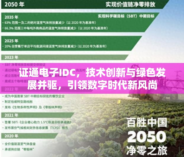 證通電子IDC，技術(shù)創(chuàng)新與綠色發(fā)展并驅(qū)，引領(lǐng)數(shù)字時代新風(fēng)尚
