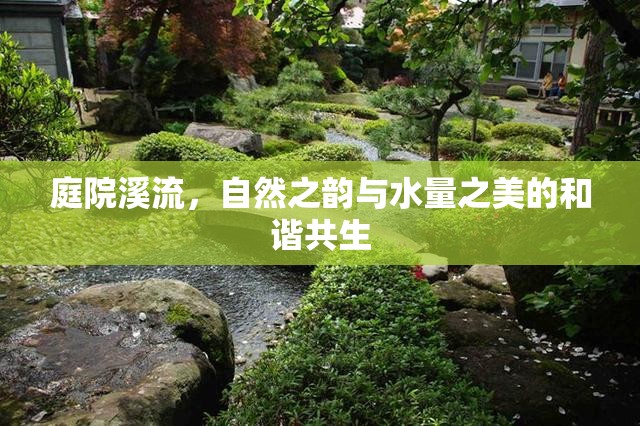 庭院溪流，自然之韻與水量之美的和諧共生