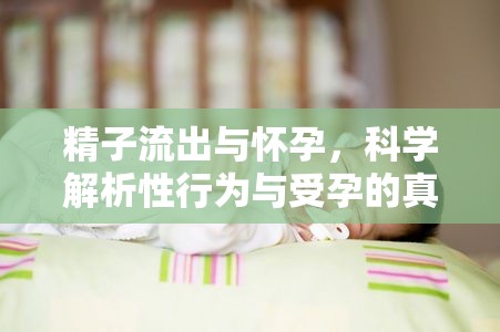 精子流出與懷孕，科學(xué)解析性行為與受孕的真相