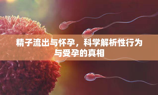 精子流出與懷孕，科學(xué)解析性行為與受孕的真相