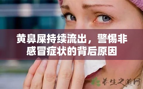 黃鼻屎持續(xù)流出，警惕非感冒癥狀的背后原因