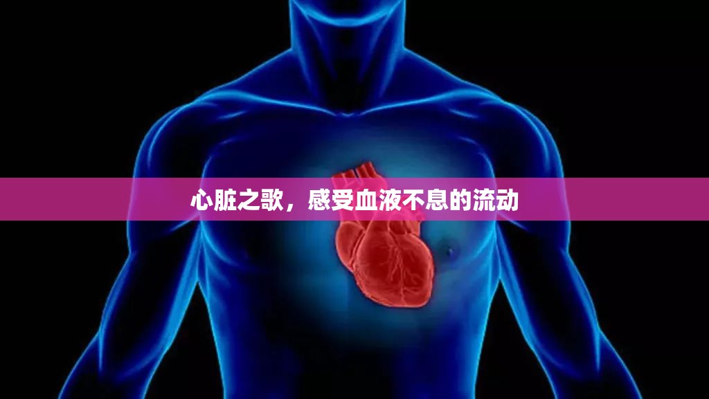 心臟之歌，感受血液不息的流動(dòng)