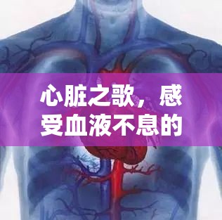 心臟之歌，感受血液不息的流動(dòng)