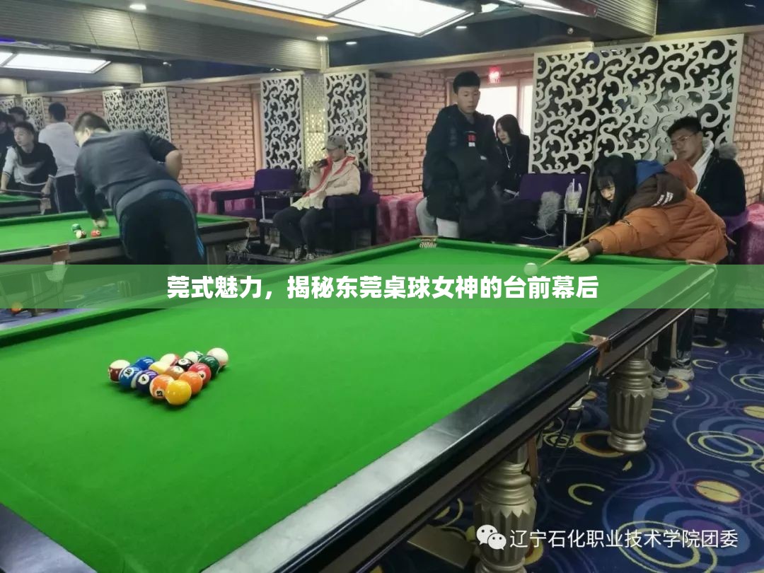 莞式魅力，揭秘東莞桌球女神的臺前幕后