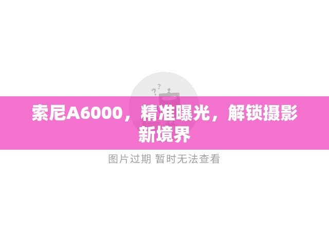 索尼A6000，精準(zhǔn)曝光，解鎖攝影新境界