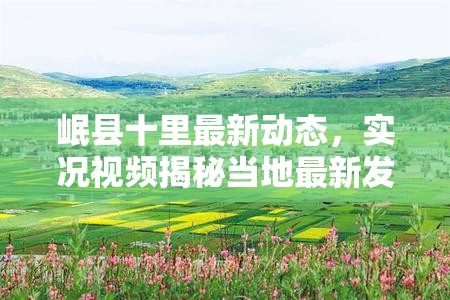 岷縣十里最新動態(tài)，實況視頻揭秘當?shù)刈钚掳l(fā)展