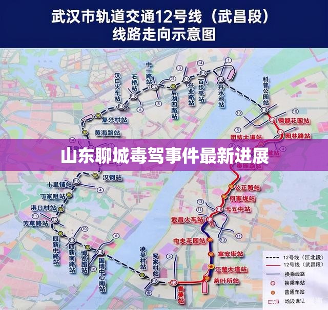 山東聊城毒駕事件最新進(jìn)展