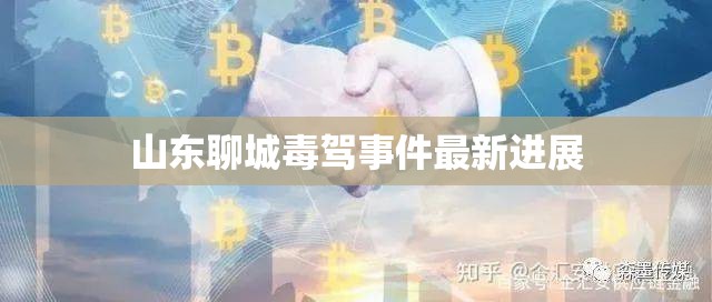 山東聊城毒駕事件最新進(jìn)展