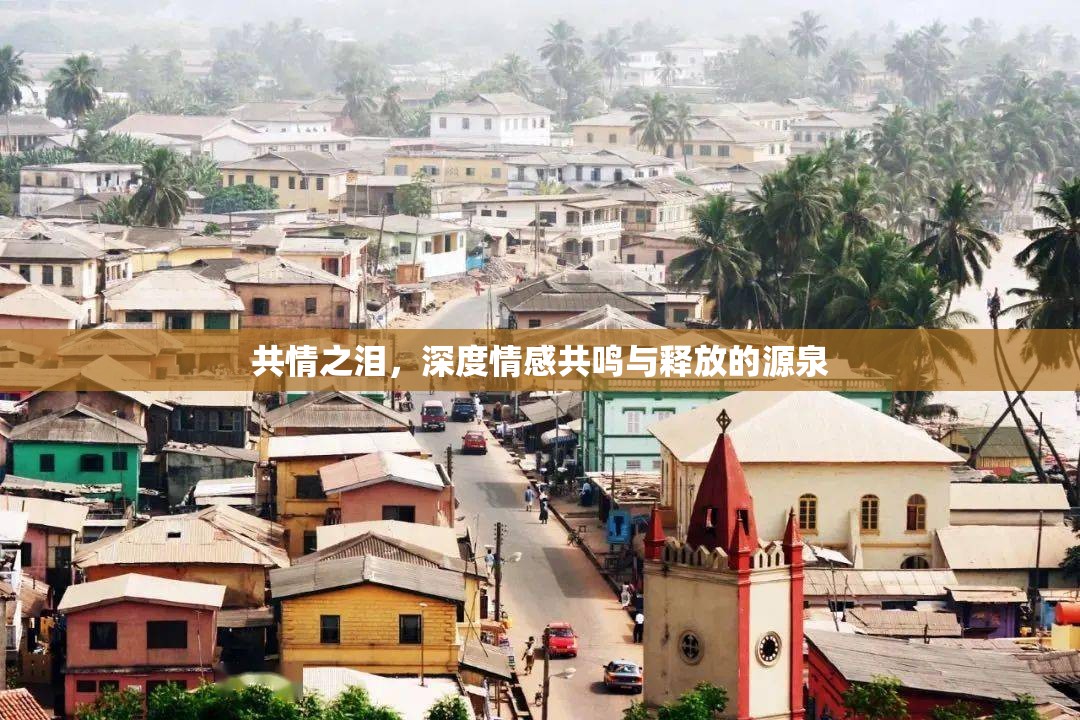 共情之淚，深度情感共鳴與釋放的源泉
