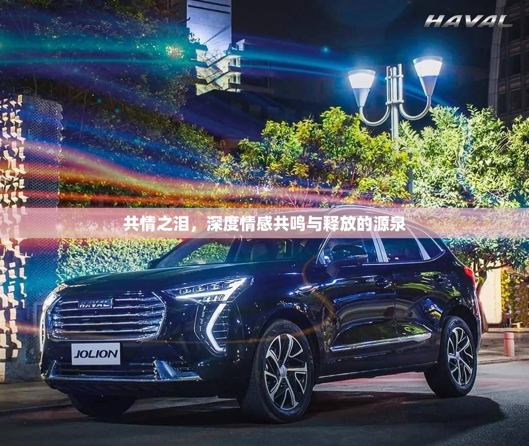 共情之淚，深度情感共鳴與釋放的源泉