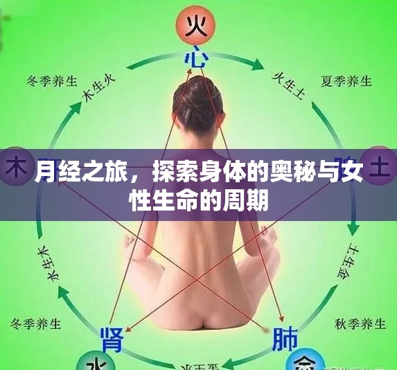 月經(jīng)之旅，探索身體的奧秘與女性生命的周期