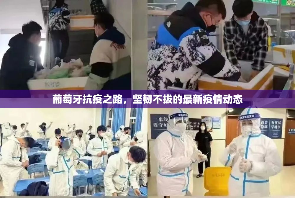 葡萄牙抗疫之路，堅韌不拔的最新疫情動態(tài)