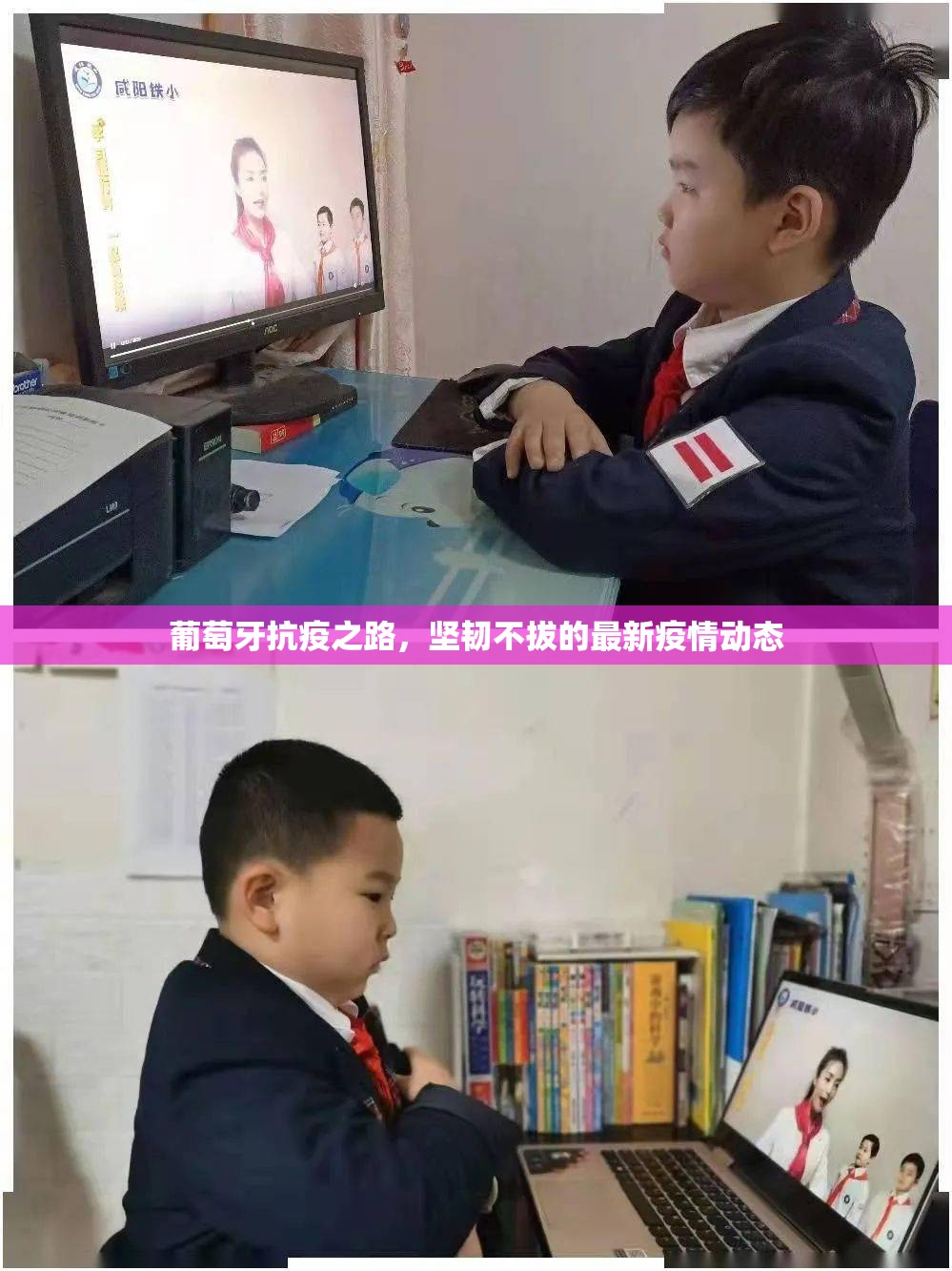葡萄牙抗疫之路，堅韌不拔的最新疫情動態(tài)