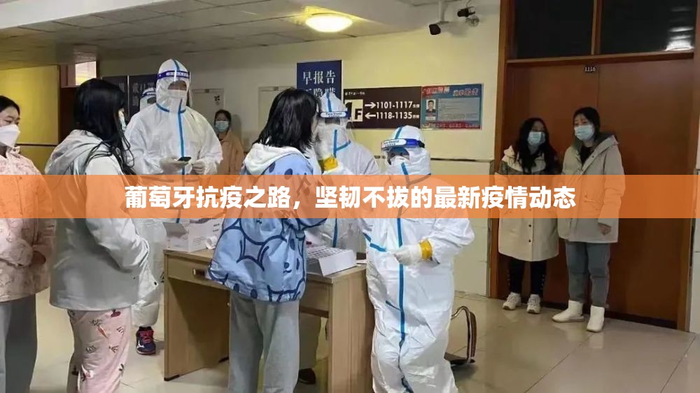 葡萄牙抗疫之路，堅韌不拔的最新疫情動態(tài)