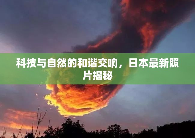 科技與自然的和諧交響，日本最新照片揭秘